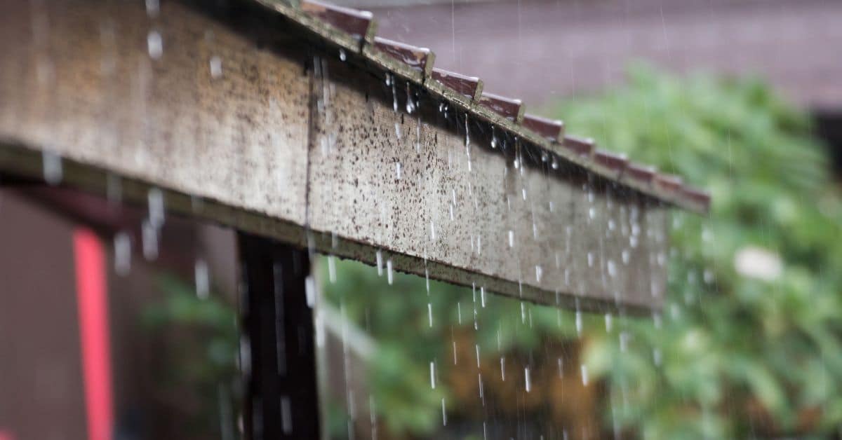 A close-up, high-angle view of glossy brown ceramic roof tiles installed on a residential property.